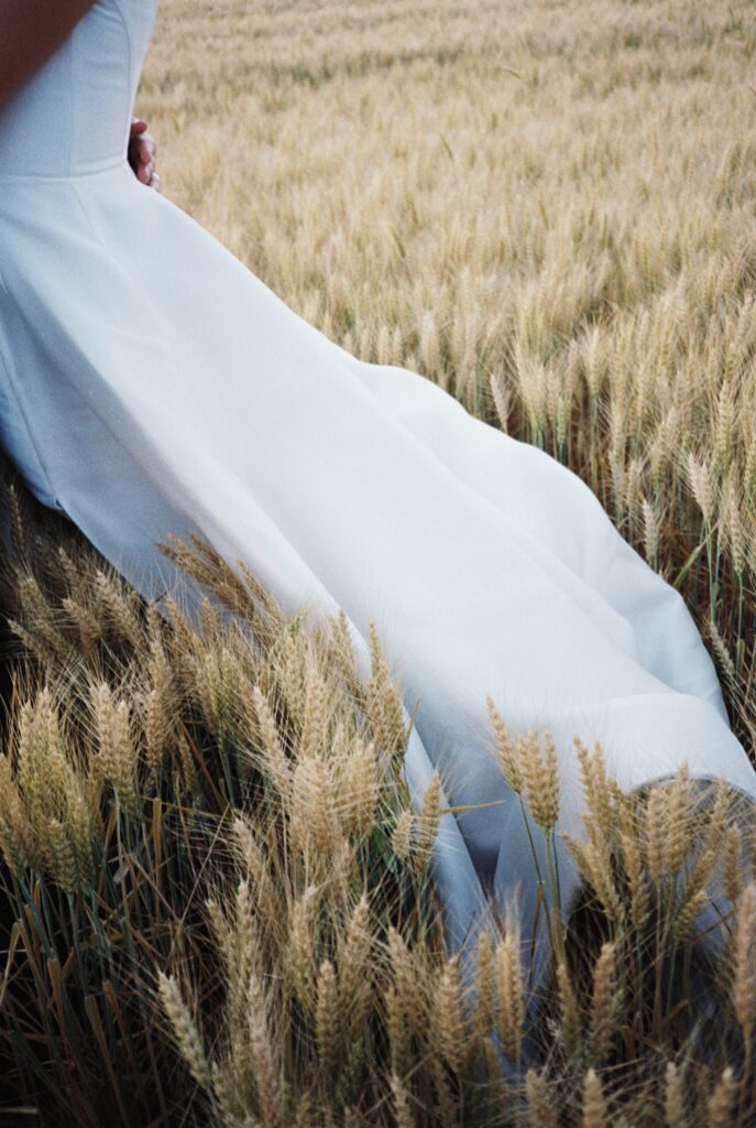 bride and groom walk into a wheat field at Abeja winery wedding