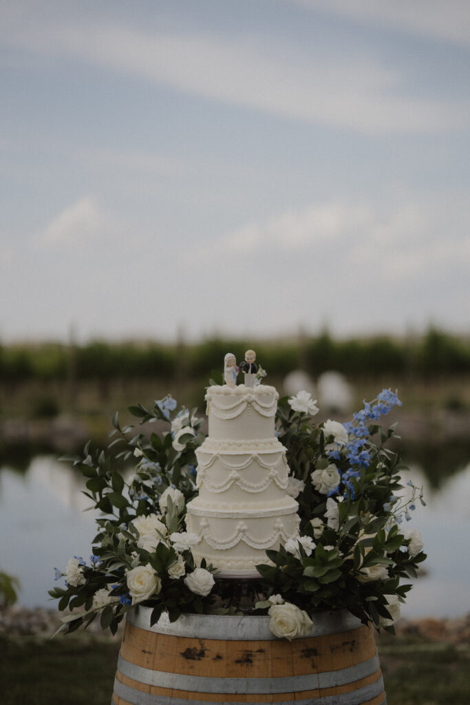 cake surrounded by white and blue floras